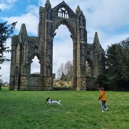 Сasa de vacaciones Mad Alice's